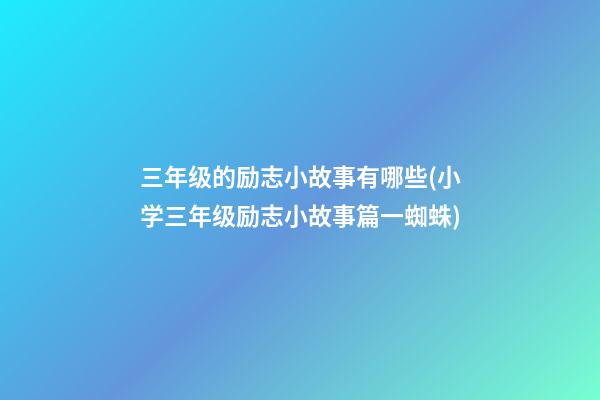 三年级的励志小故事有哪些(小学三年级励志小故事篇一蜘蛛)