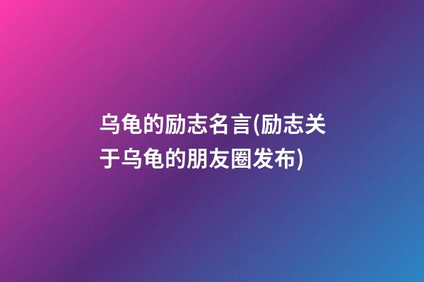 乌龟的励志名言(励志关于乌龟的朋友圈发布)