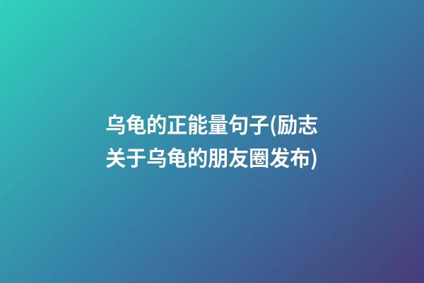 乌龟的正能量句子(励志关于乌龟的朋友圈发布)