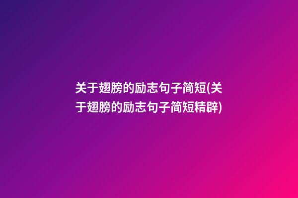 关于翅膀的励志句子简短(关于翅膀的励志句子简短精辟)