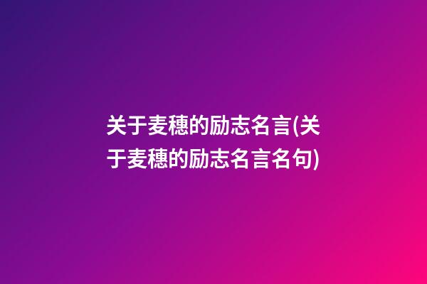 关于麦穗的励志名言(关于麦穗的励志名言名句)