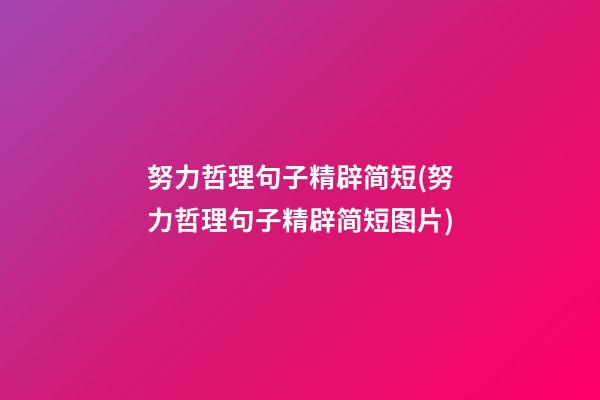 努力哲理句子精辟简短(努力哲理句子精辟简短图片)