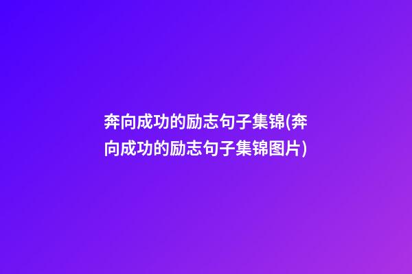 奔向成功的励志句子集锦(奔向成功的励志句子集锦图片)