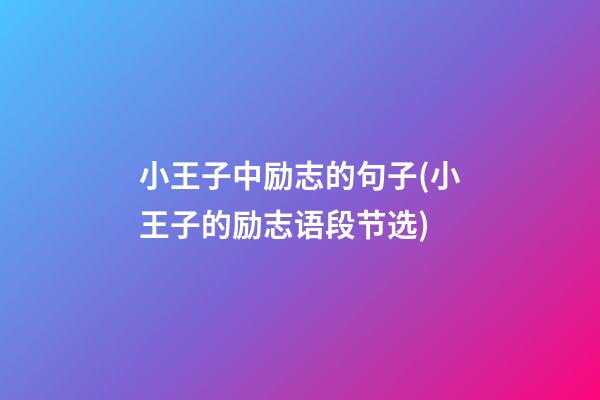 小王子中励志的句子(小王子的励志语段节选)