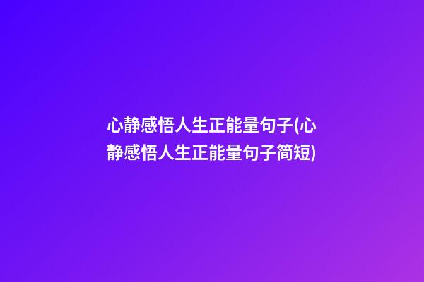 心静感悟人生正能量句子(心静感悟人生正能量句子简短)