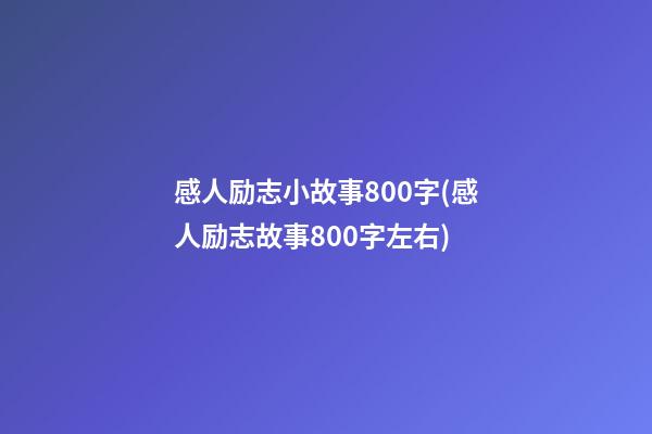 感人励志小故事800字(感人励志故事800字左右)