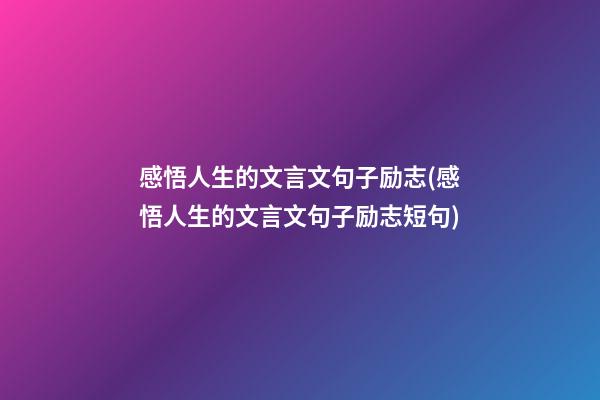 感悟人生的文言文句子励志(感悟人生的文言文句子励志短句)