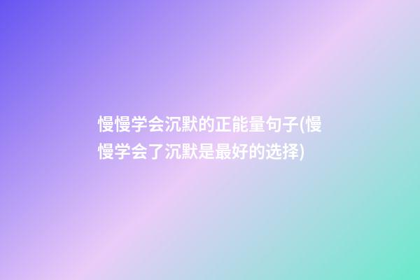 慢慢学会沉默的正能量句子(慢慢学会了沉默是最好的选择)