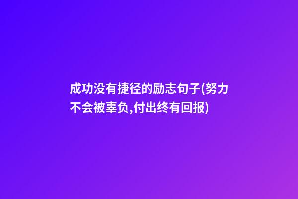 成功没有捷径的励志句子(努力不会被辜负,付出终有回报)