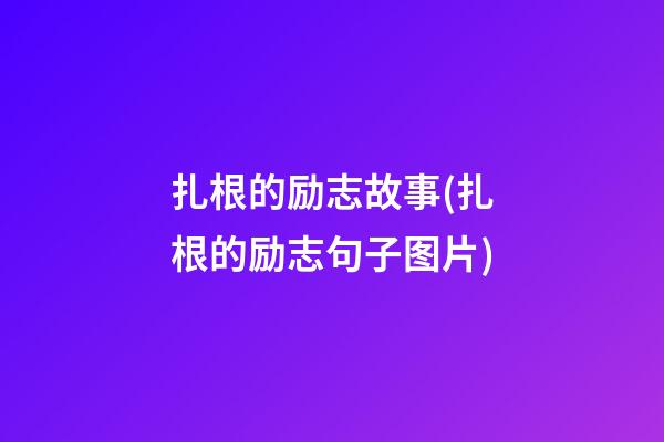 扎根的励志故事(扎根的励志句子图片)