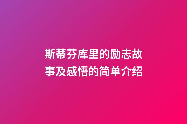 斯蒂芬库里的励志故事及感悟的简单介绍