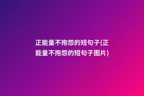 正能量不抱怨的短句子(正能量不抱怨的短句子图片)