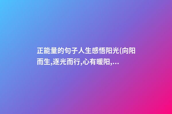 正能量的句子人生感悟阳光(向阳而生,逐光而行,心有暖阳,何惧人生沧桑)