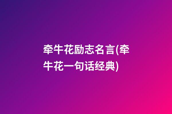 牵牛花励志名言(牵牛花一句话经典)