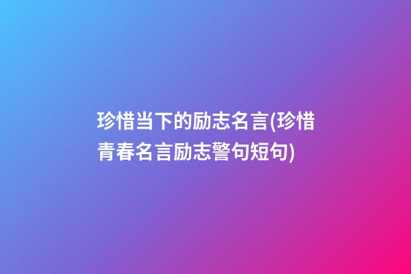 珍惜当下的励志名言(珍惜青春名言励志警句短句)