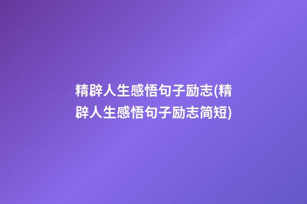 精辟人生感悟句子励志(精辟人生感悟句子励志简短)