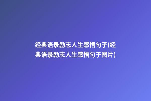 经典语录励志人生感悟句子(经典语录励志人生感悟句子图片)