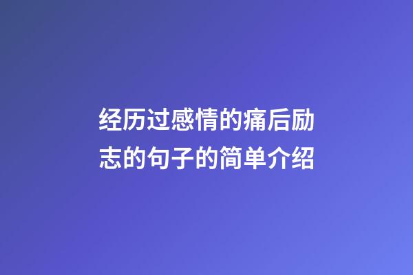 经历过感情的痛后励志的句子的简单介绍