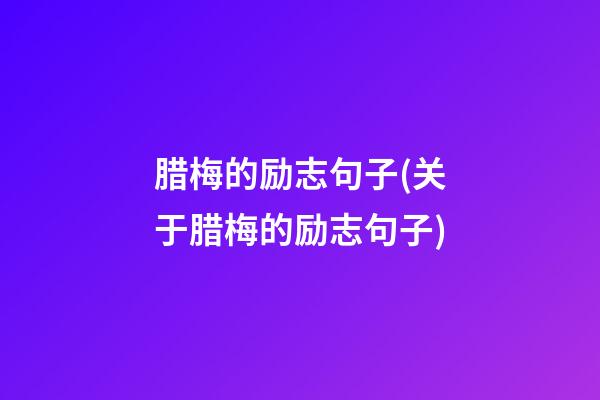 腊梅的励志句子(关于腊梅的励志句子)