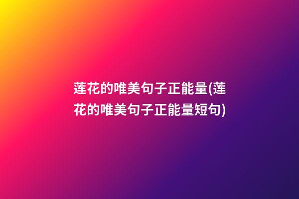 莲花的唯美句子正能量(莲花的唯美句子正能量短句)