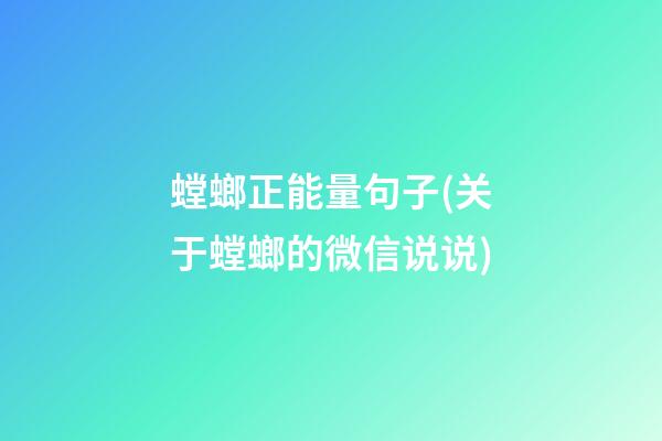 螳螂正能量句子(关于螳螂的微信说说)