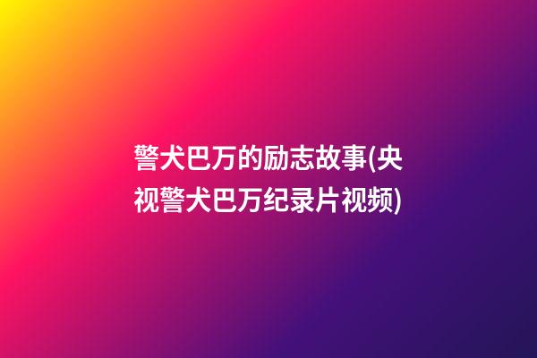 警犬巴万的励志故事(央视警犬巴万纪录片视频)