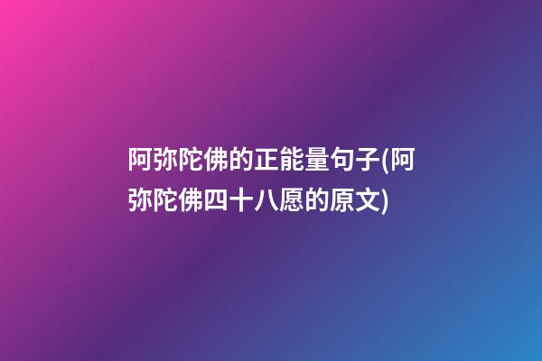 阿弥陀佛的正能量句子(阿弥陀佛四十八愿的原文)