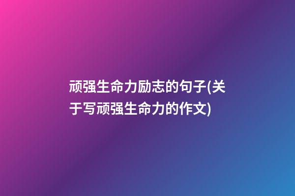 顽强生命力励志的句子(关于写顽强生命力的作文)